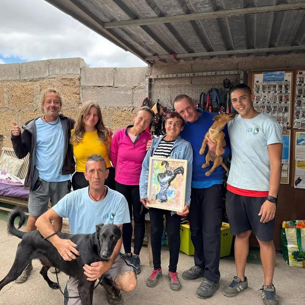 President’s Statement , end of 2025 - Live Paws news, Tenerife dog rescue