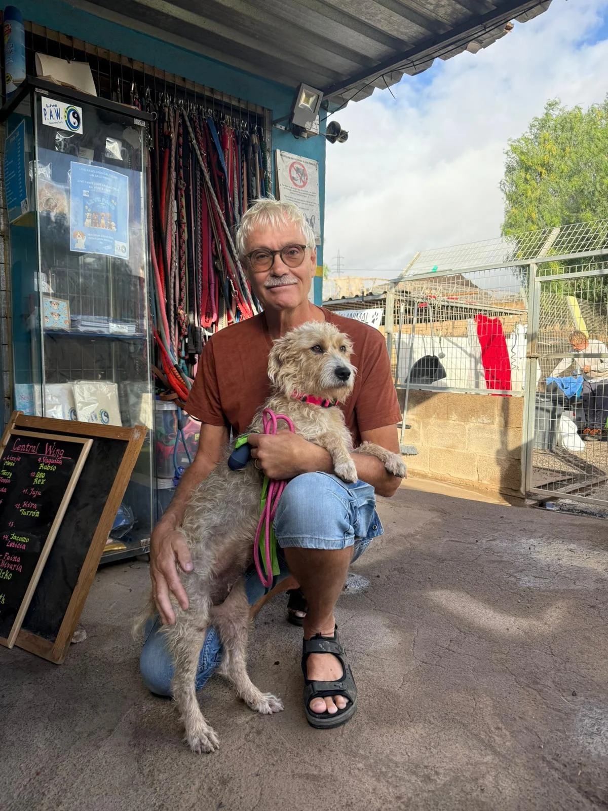 Lillie has her own family . - Live Paws news, Tenerife dog rescue