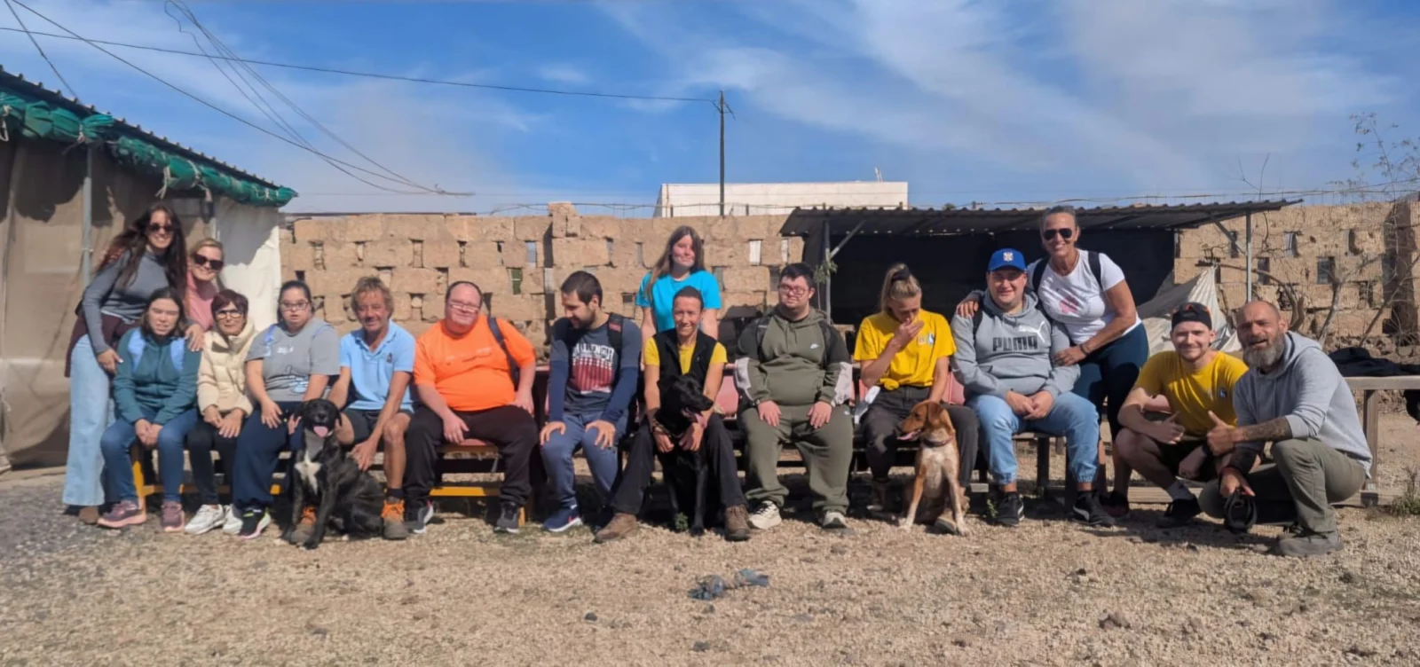 - Live Paws news, Tenerife dog rescue