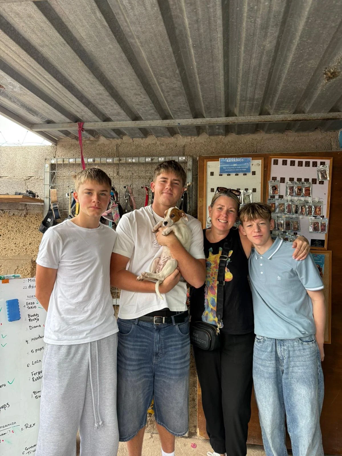 New beginnings - Live Paws news, Tenerife dog rescue