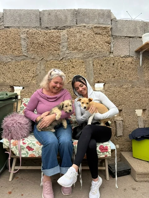 Rupert, Mary and Carter adopted. - Live Paws news, Tenerife dog rescue