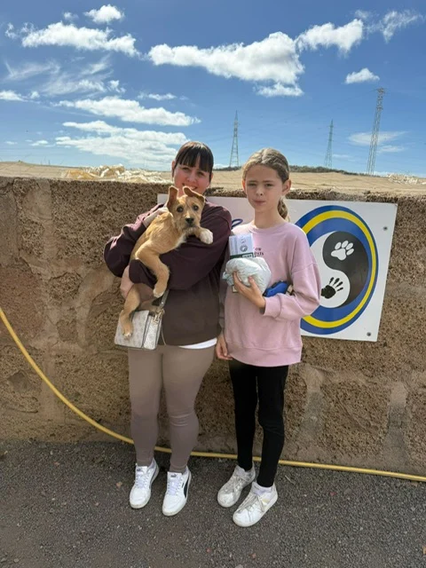 Russel adopted. - Live Paws news, Tenerife dog rescue