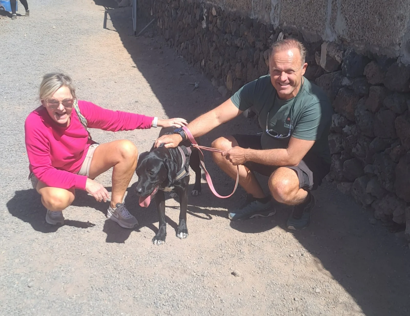 Milo adopted.