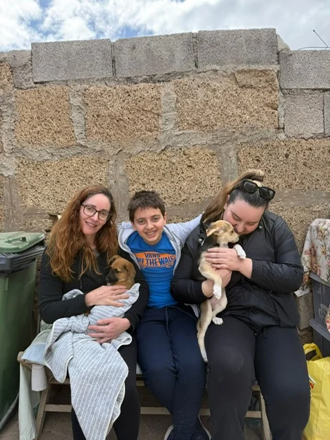 Esther, Eve and Holly adopted.