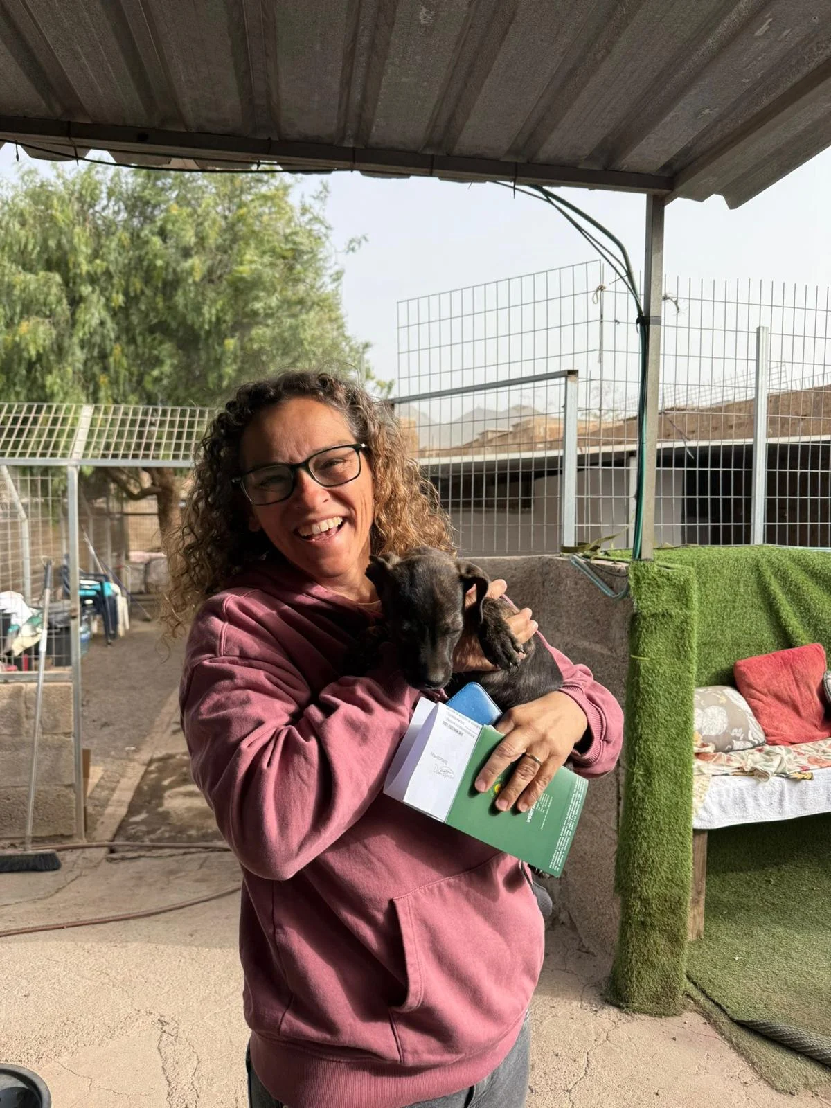 Cooper and Biscuit adopted.