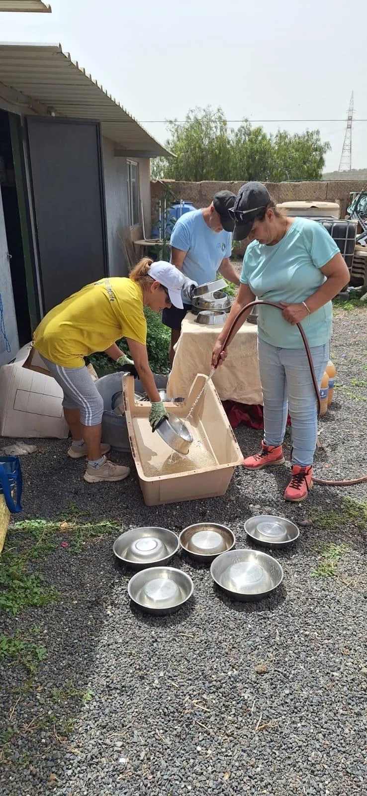 Thank You to our volunteers