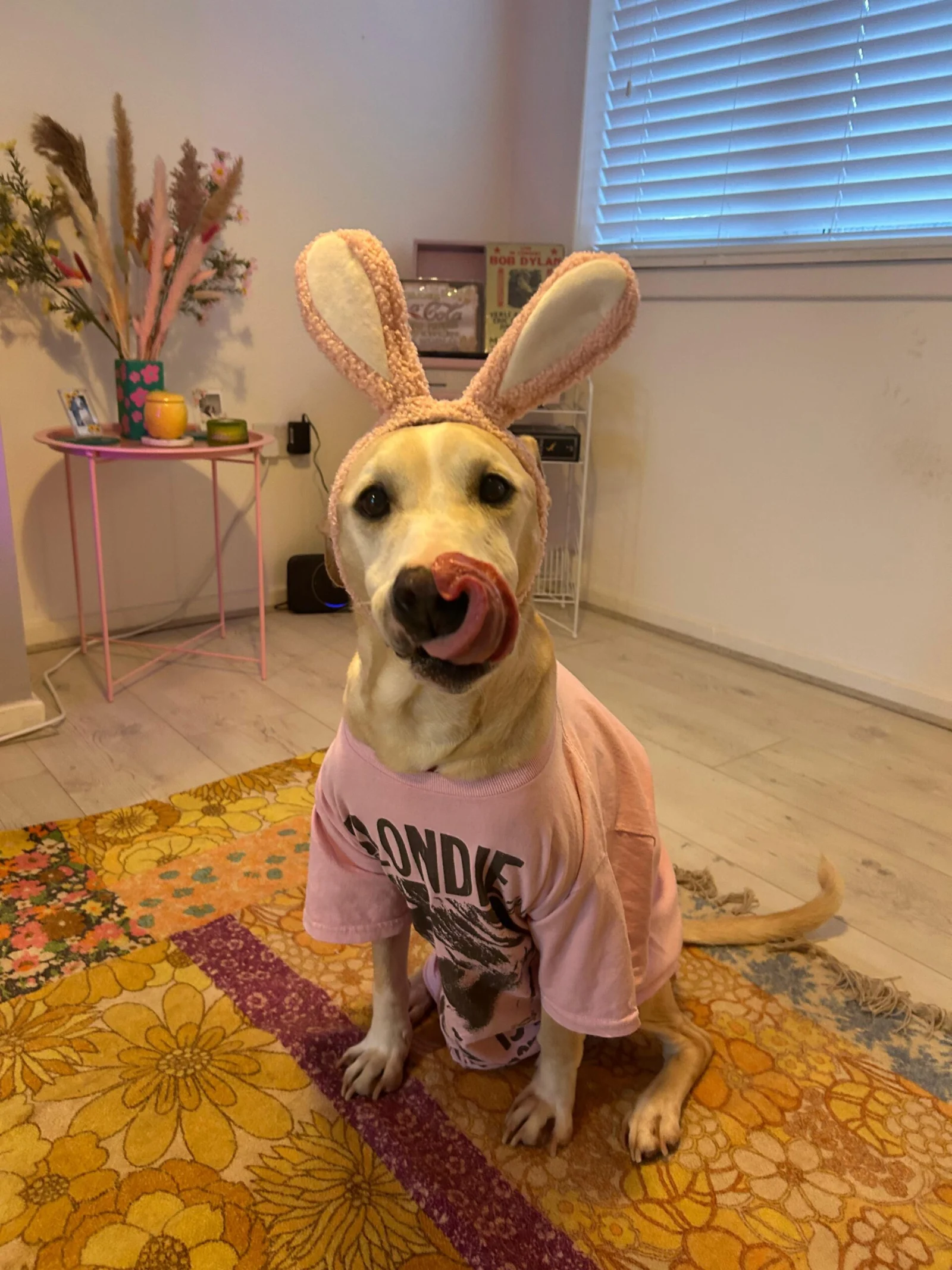 Happy Easter from Candy
