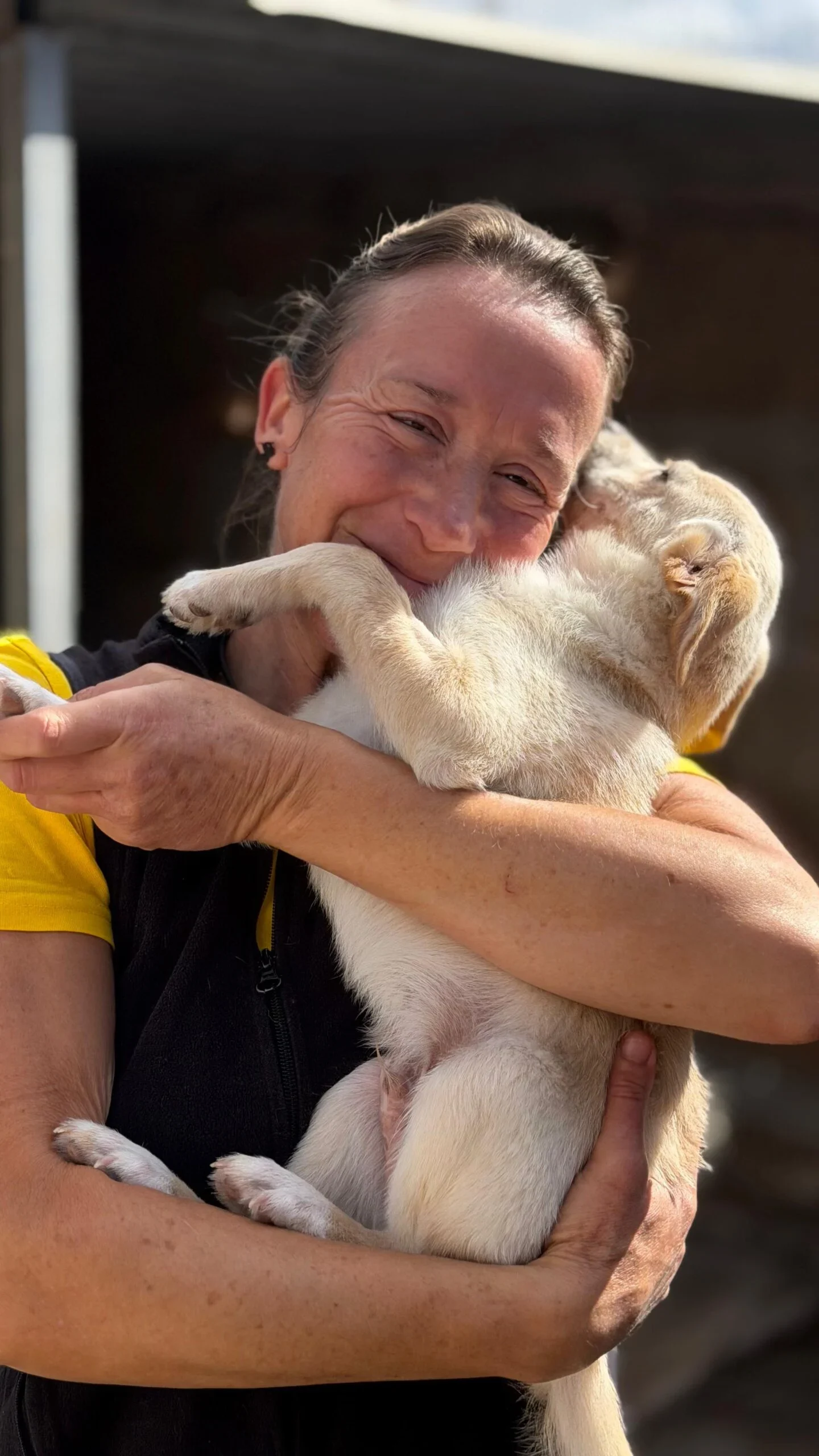 Puppies now recovered