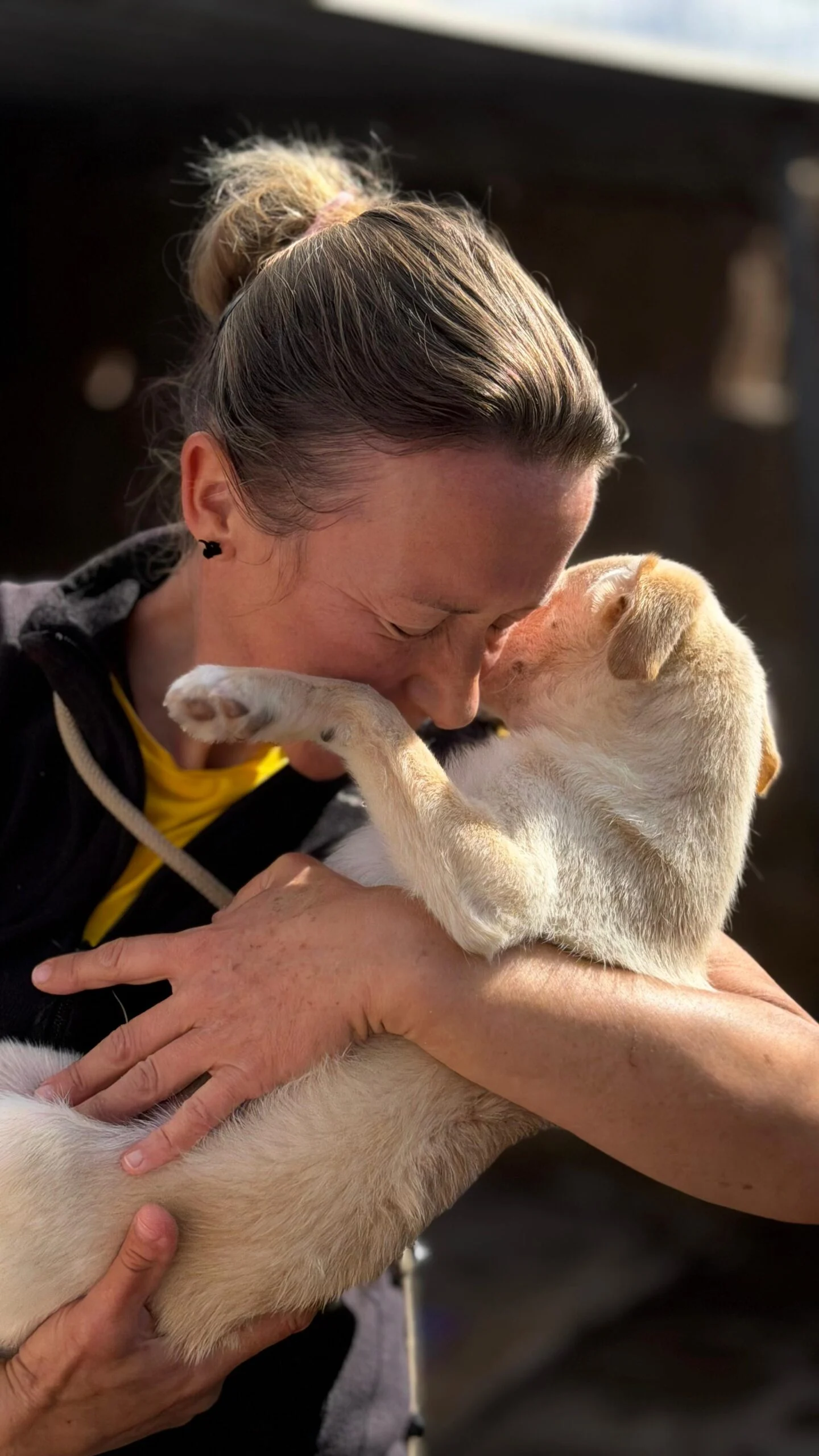 Puppies now recovered