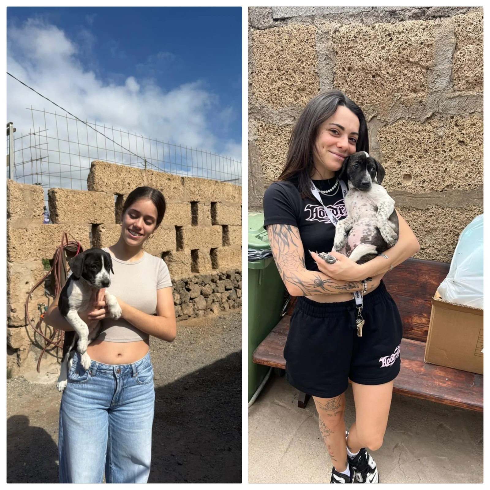From  bin to their forever homes