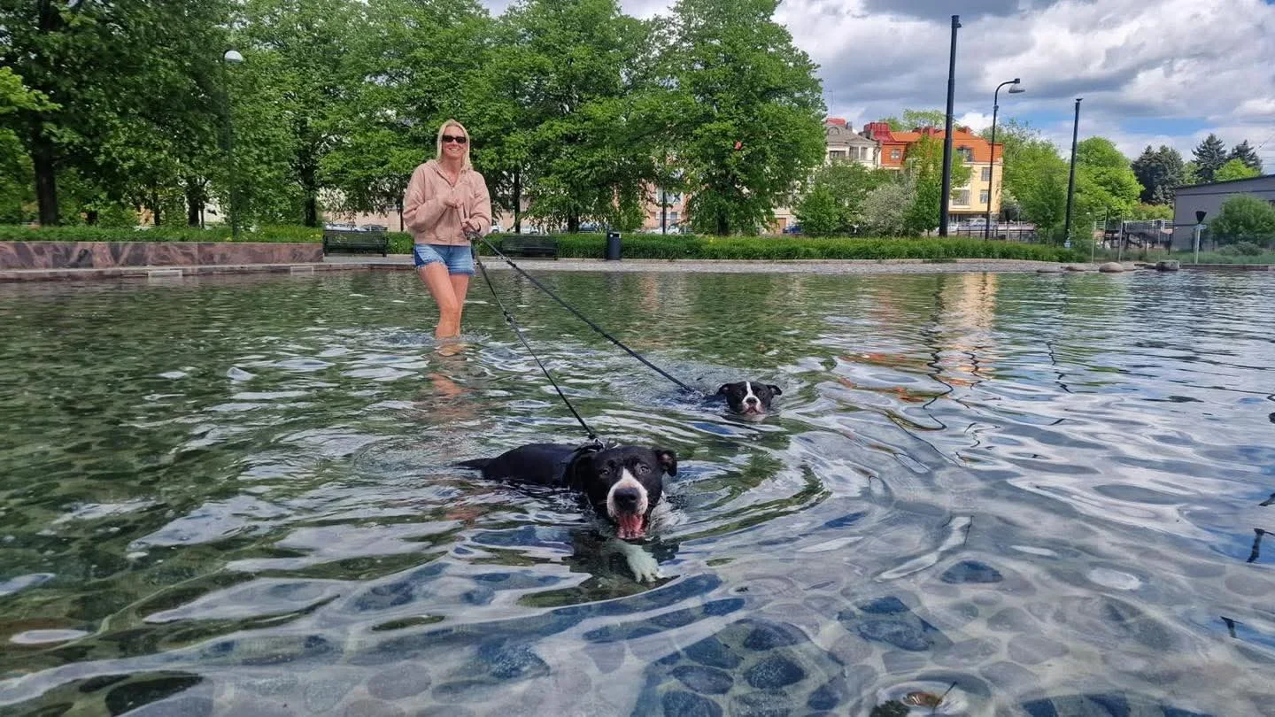 Bobbie enjoying life in Finland