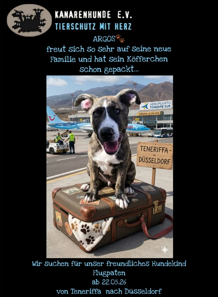 Flight companion needed