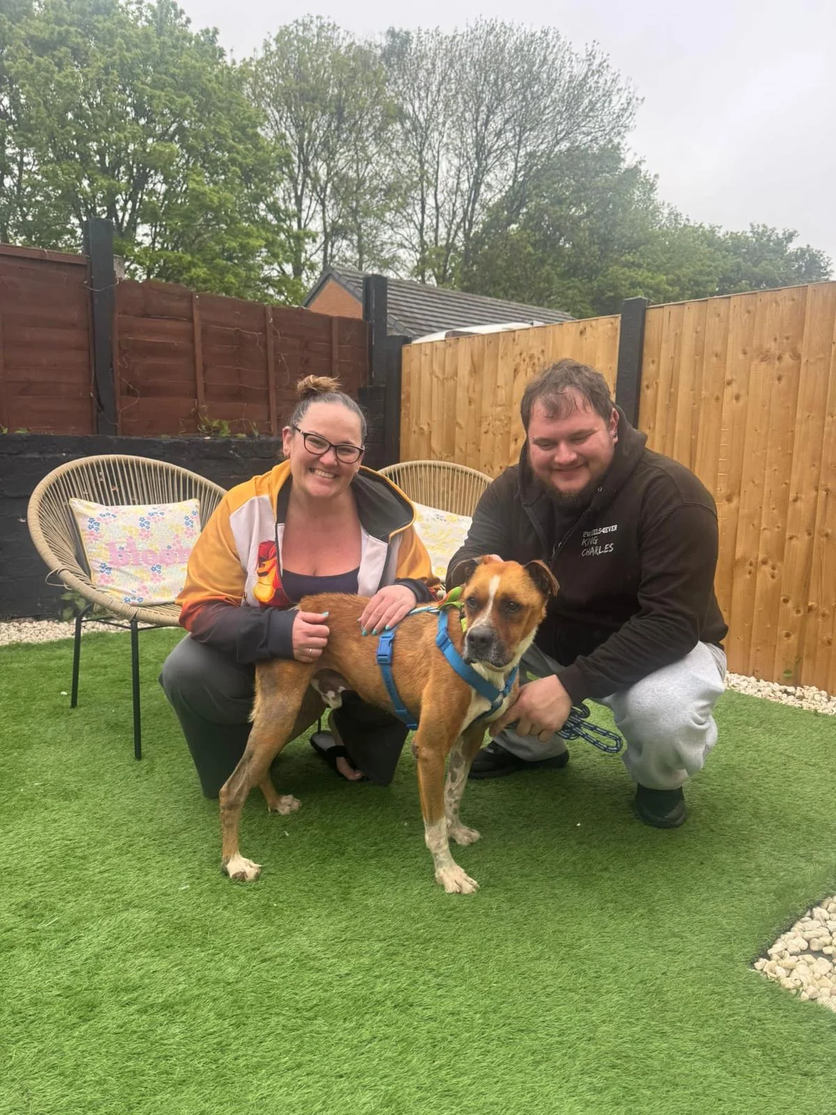 Thiago has a forever home