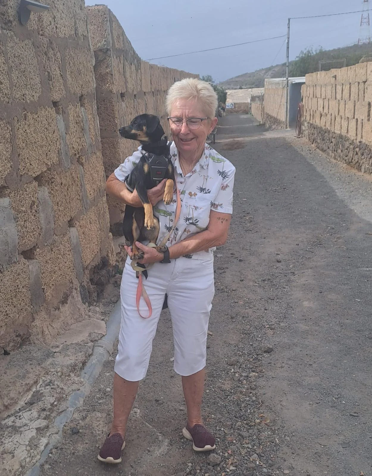 Annie and Alfred Adopted