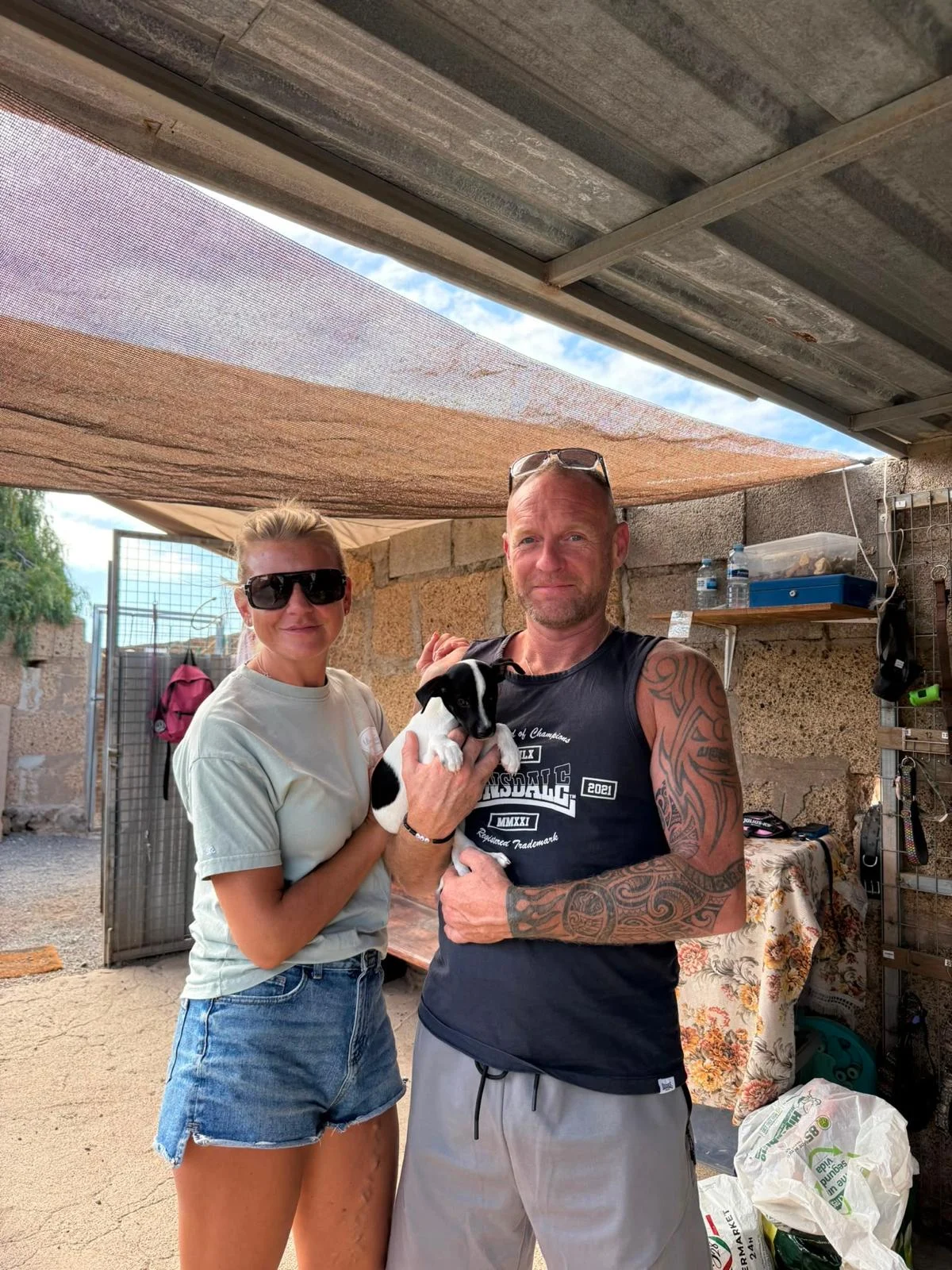 Arthur Adopted