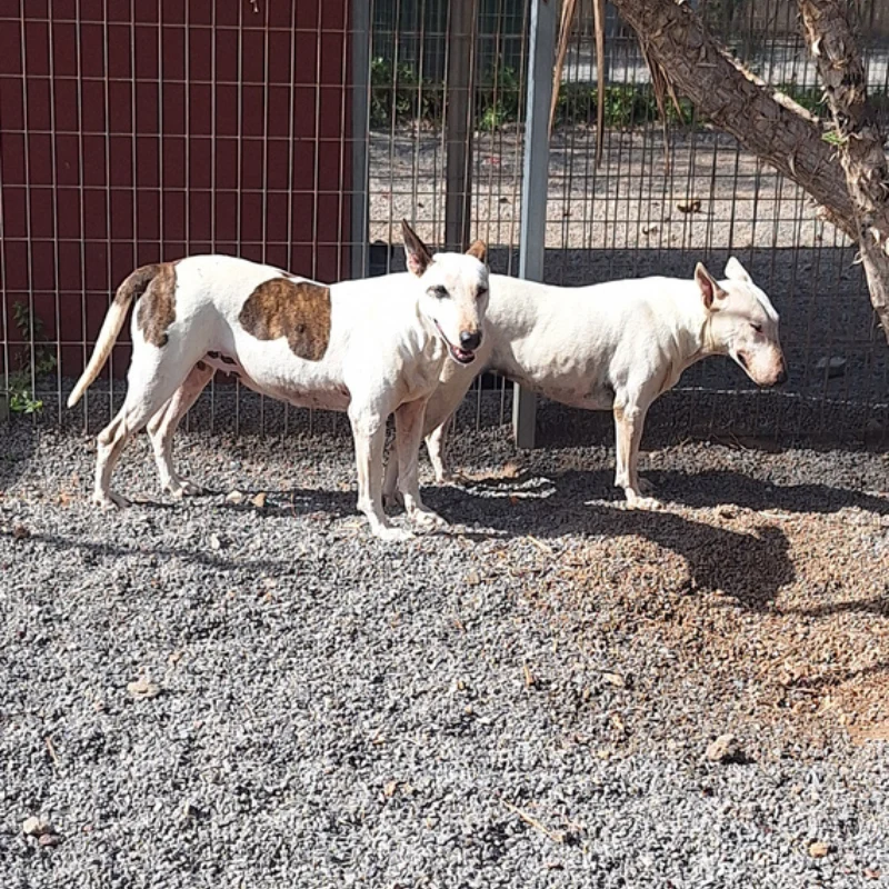 Bichette & Blandine