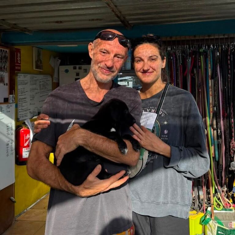 Mowgli has his forever home