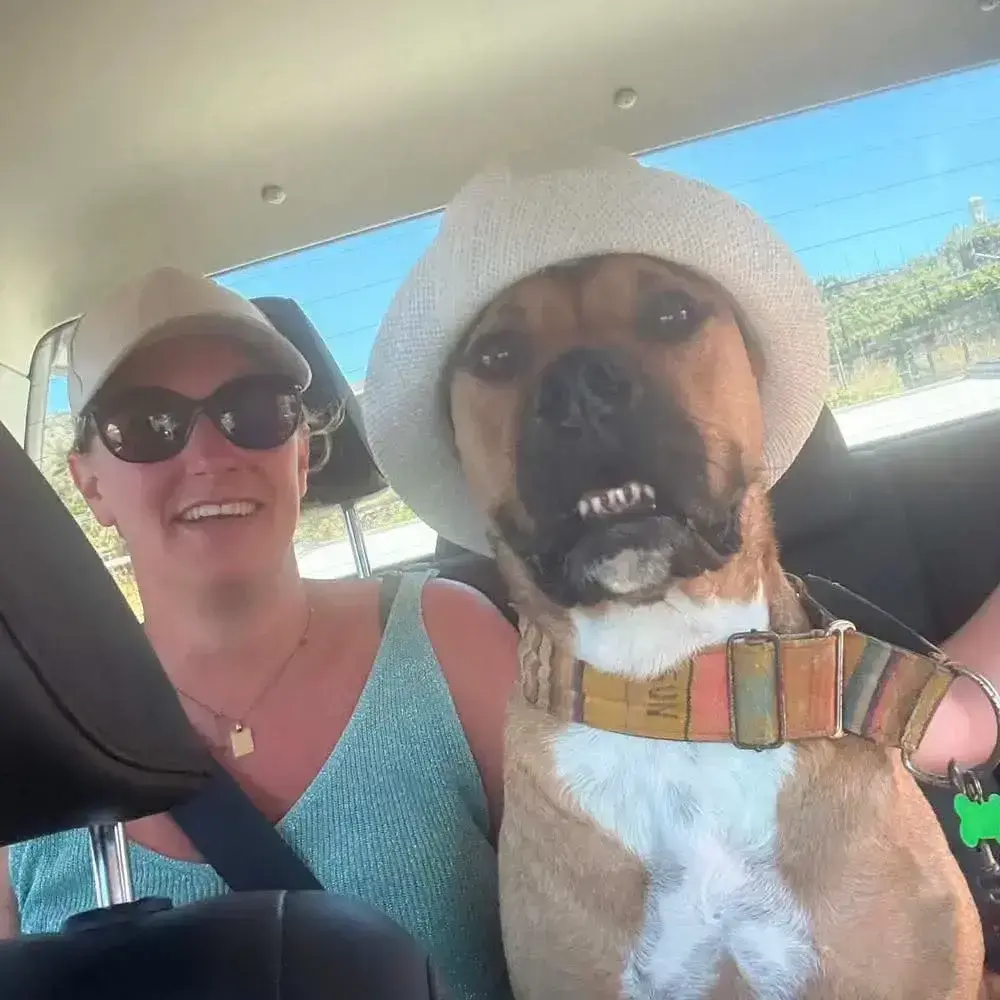 Sun Has Found His Forever Home!