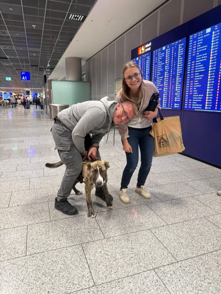 Happy endings for Asia & Argos!