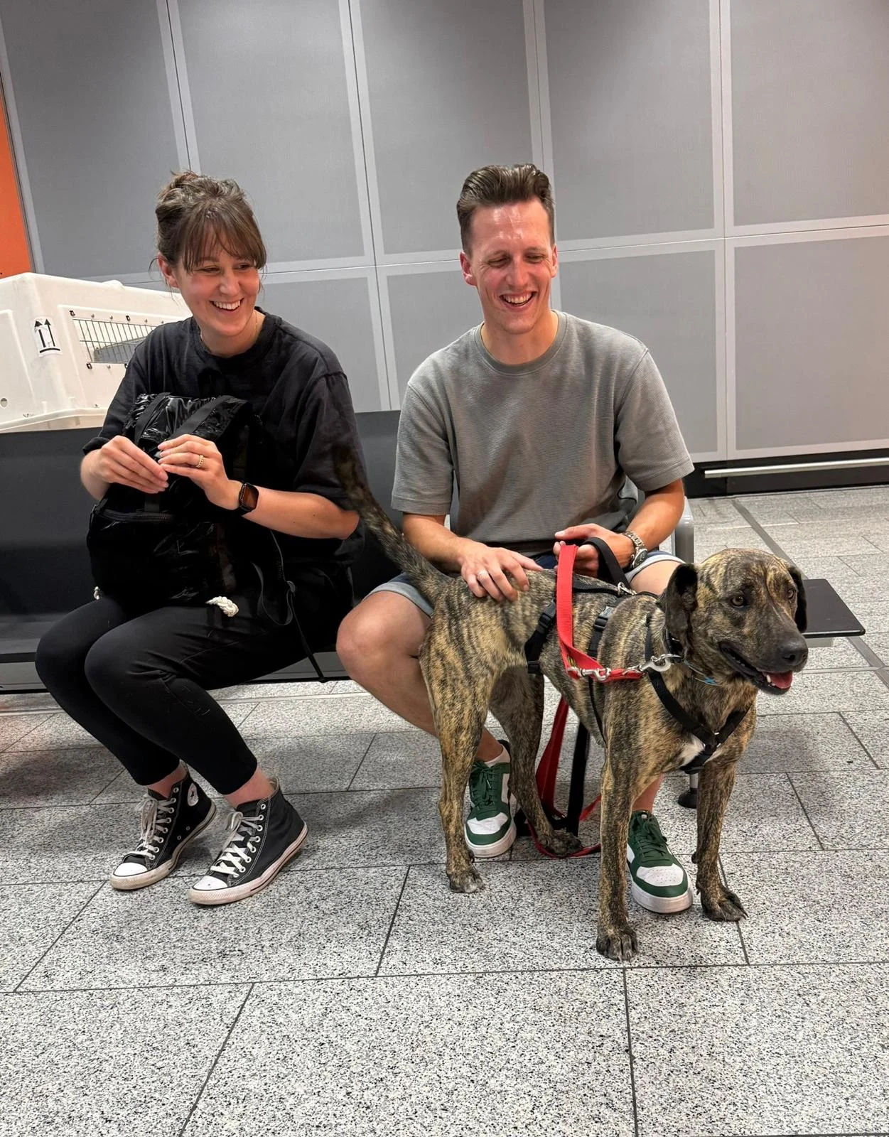 Kira’s forever home in Germany