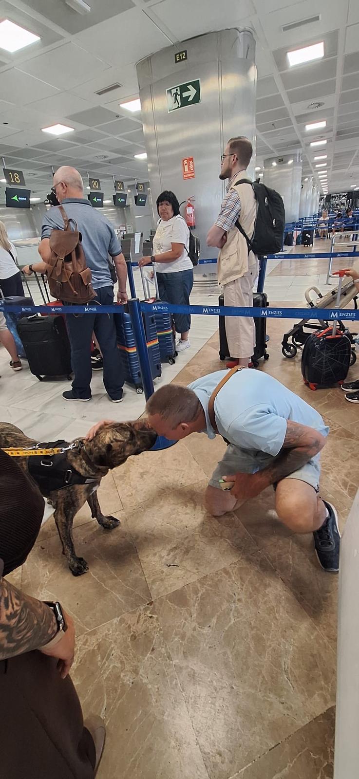 Kira’s forever home in Germany