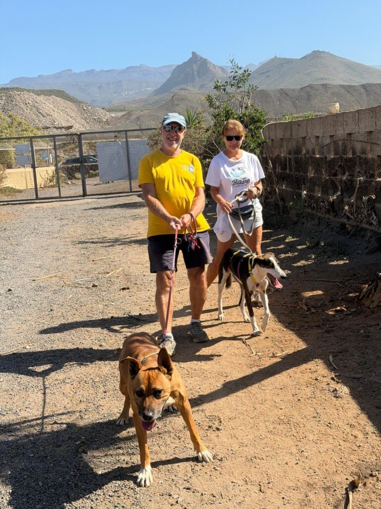 Dog Walking Community