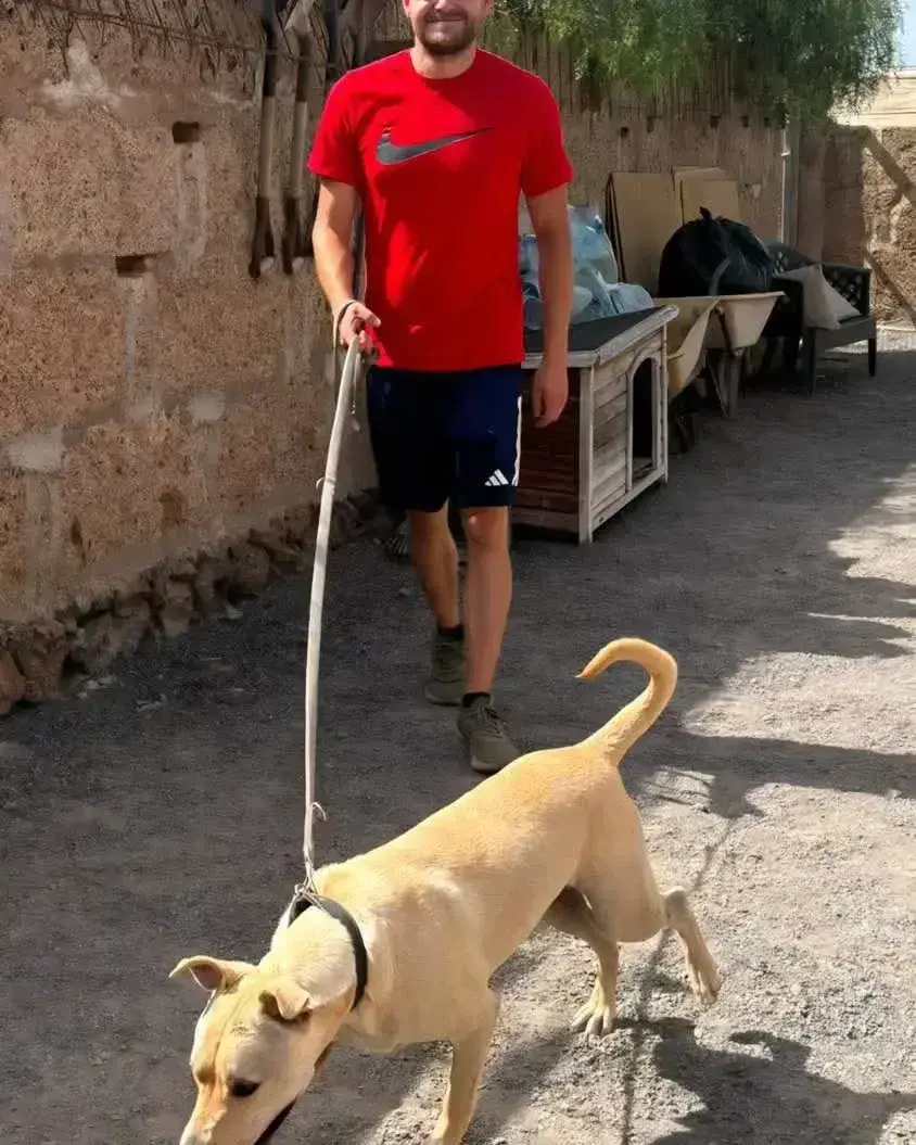 Volunteers on a Mission