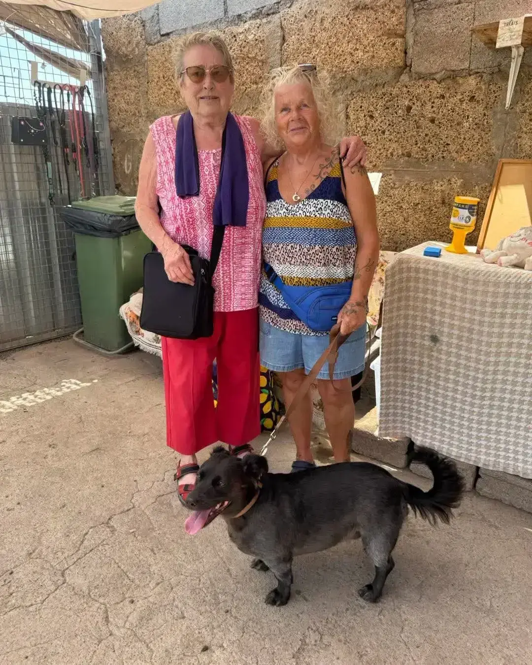 Thank you Elaine and Sue