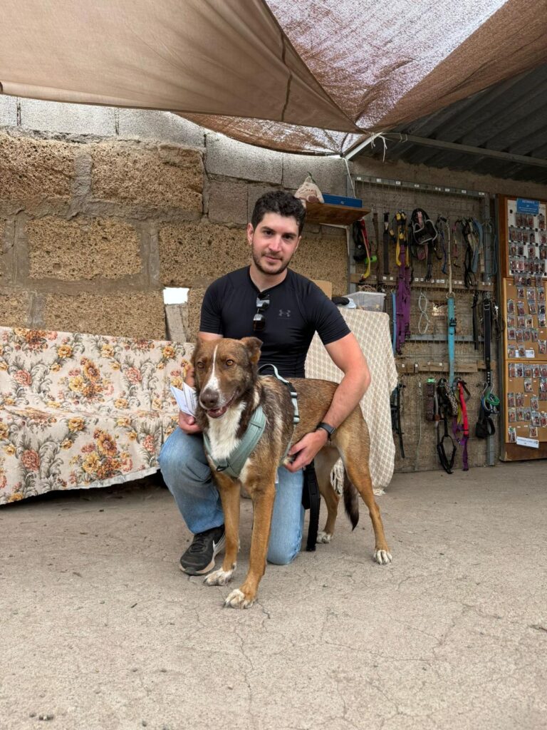 Diana has her forever home.