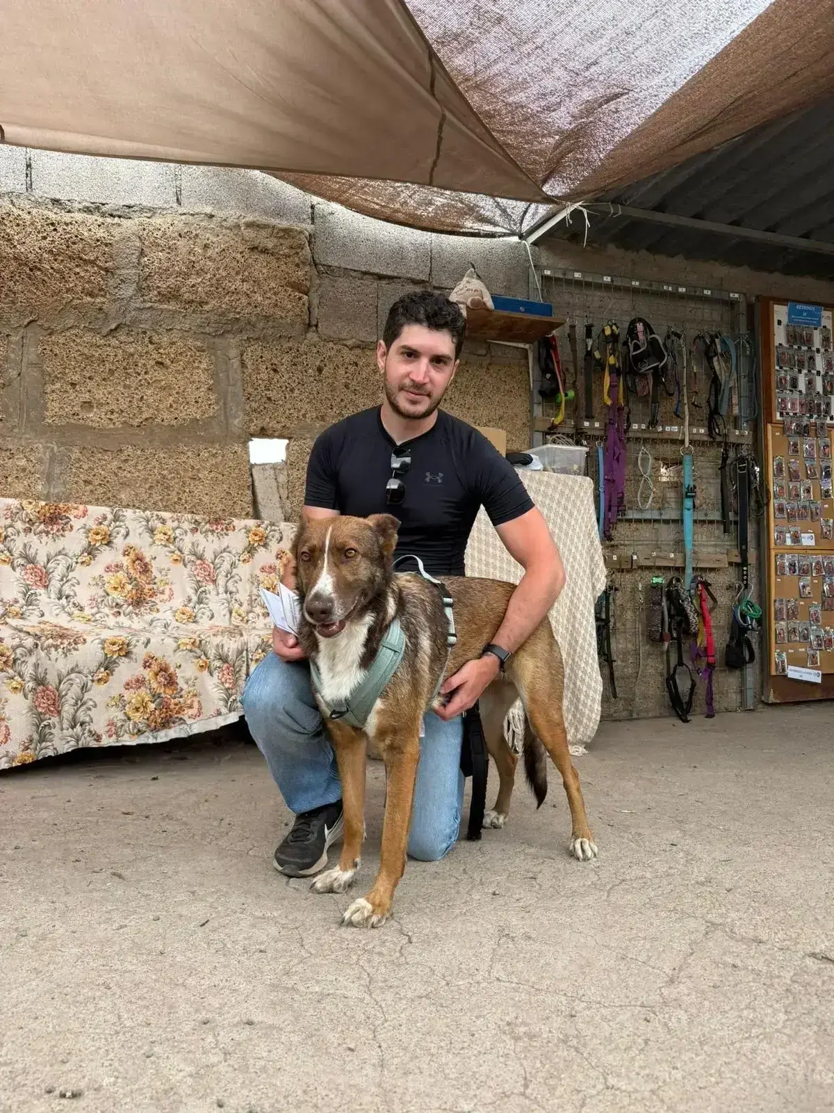 Diana has her forever home.