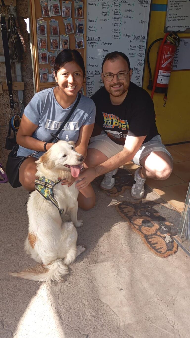 Riley has been adopted