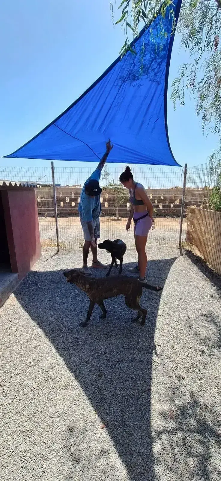 HELP US KEEP OUR DOGS COOL & PROTECTED!