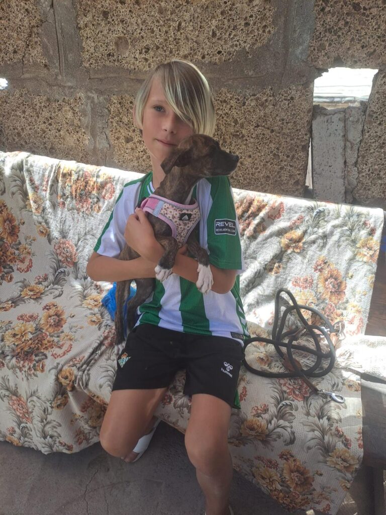 Another two puppies have found homes.