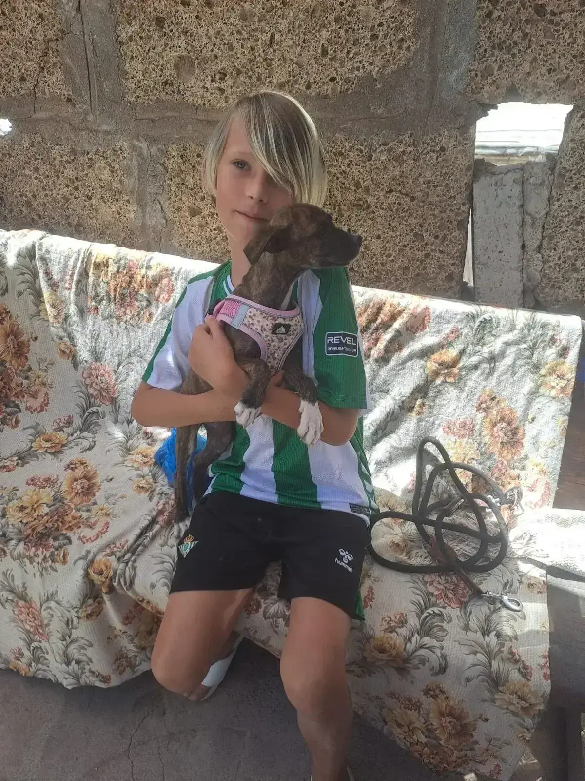 Another two puppies have found homes.