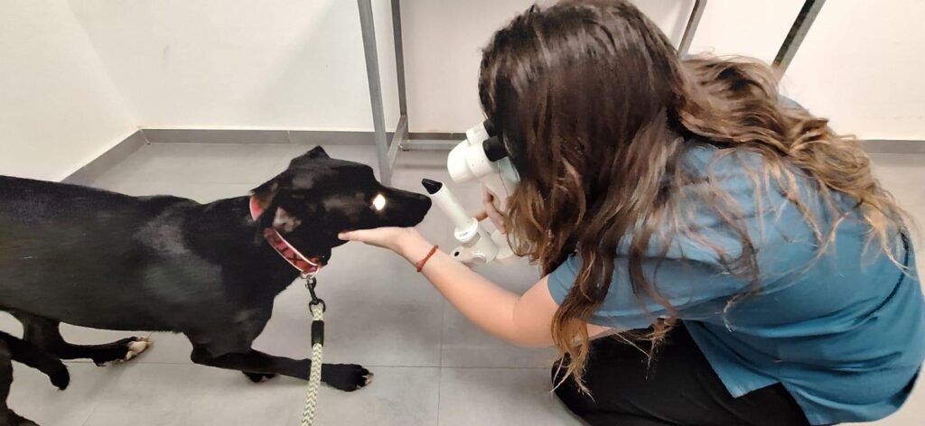 Leroy and Tessa Trip to the Eye Specialist
