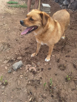 Max
