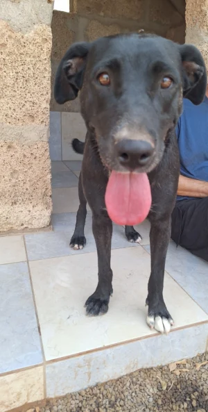 Mia