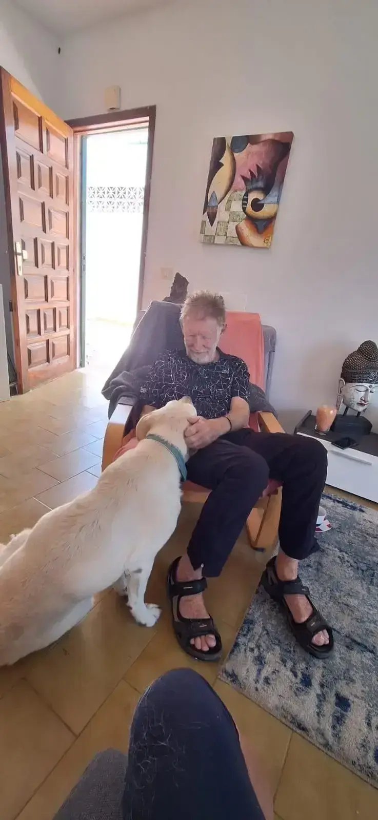 Deborah in her Forever Home