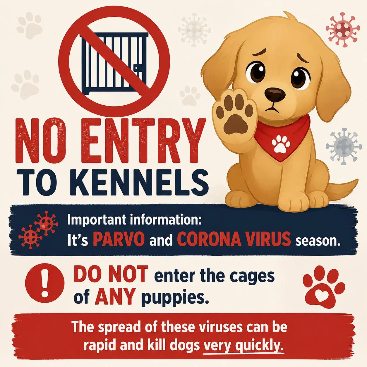 Keeping Our Puppies Safe Preventative Measures. - Live Paws news, Tenerife dog rescue