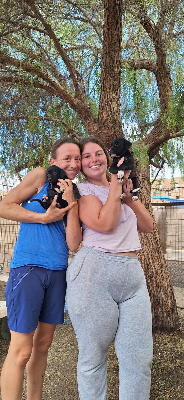 Puppy Love
