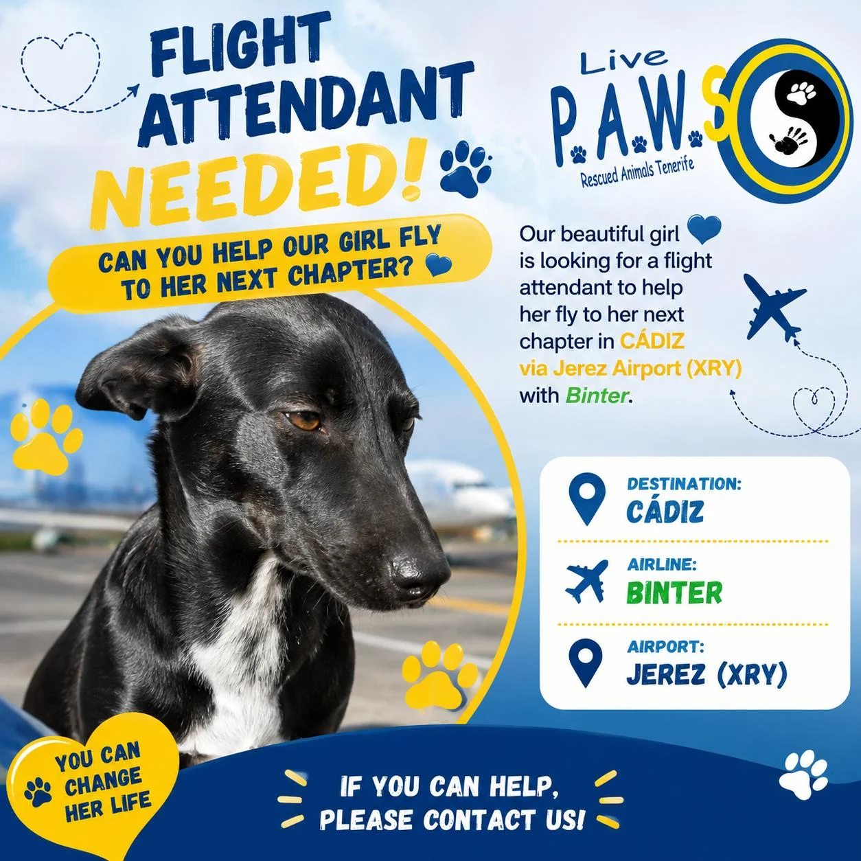 Flight Companion Needed - photo 2