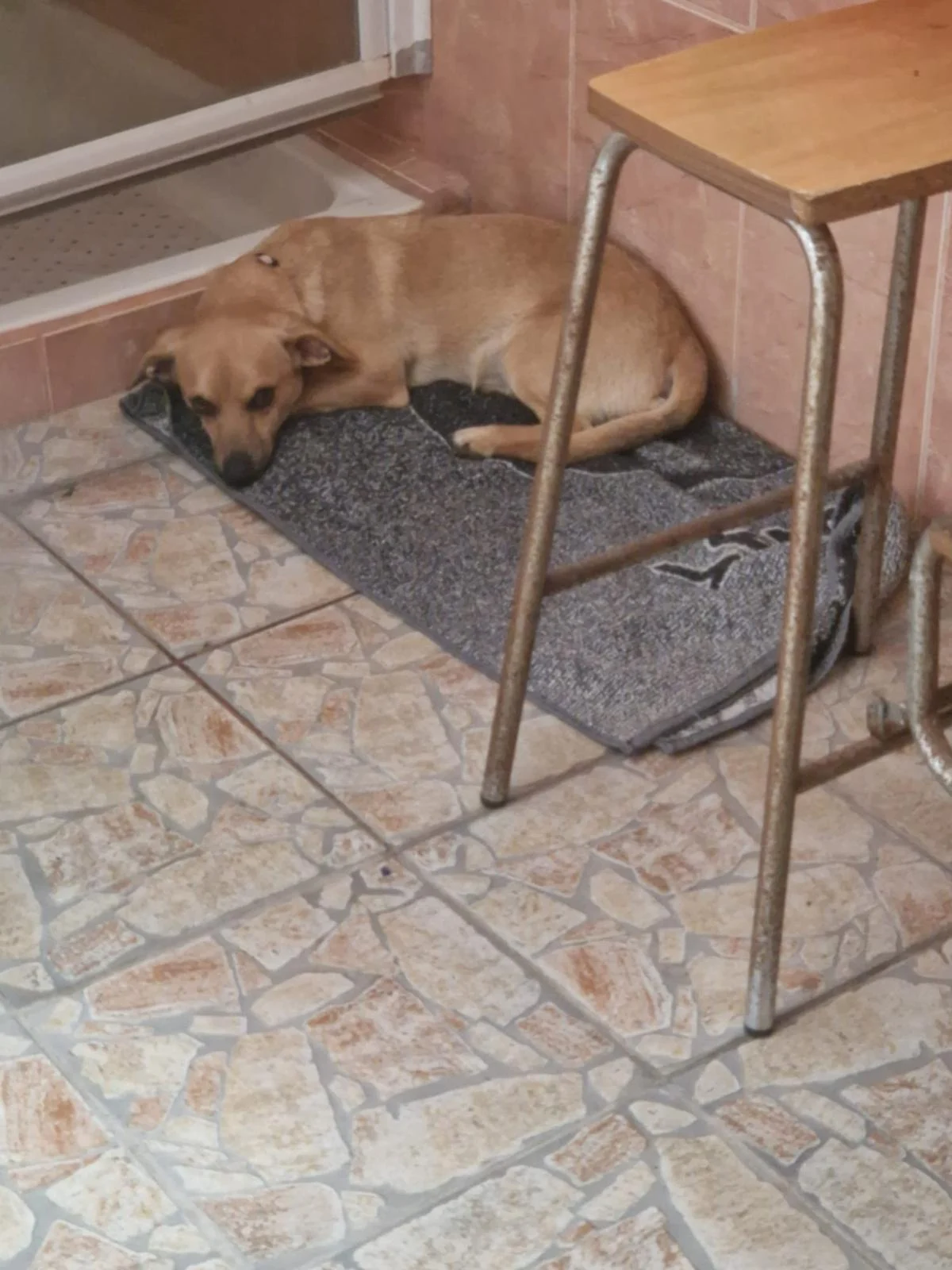 Lukas update
