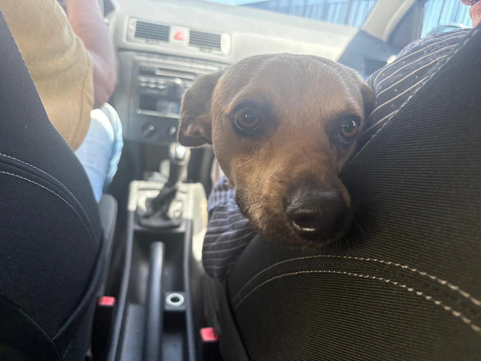 Lukas update
