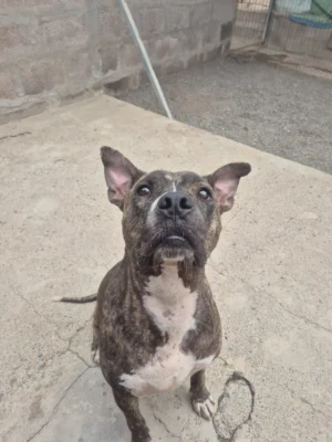 Ragnar