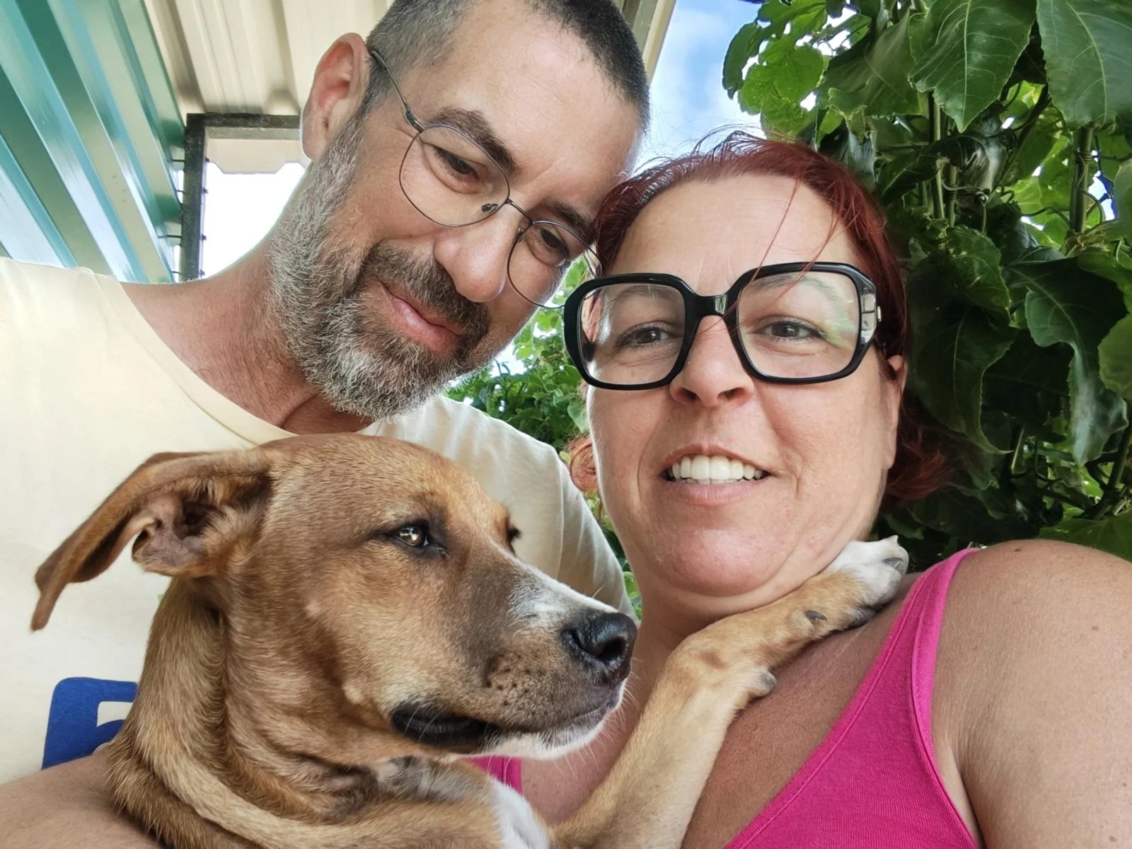 Dennis has been adopted