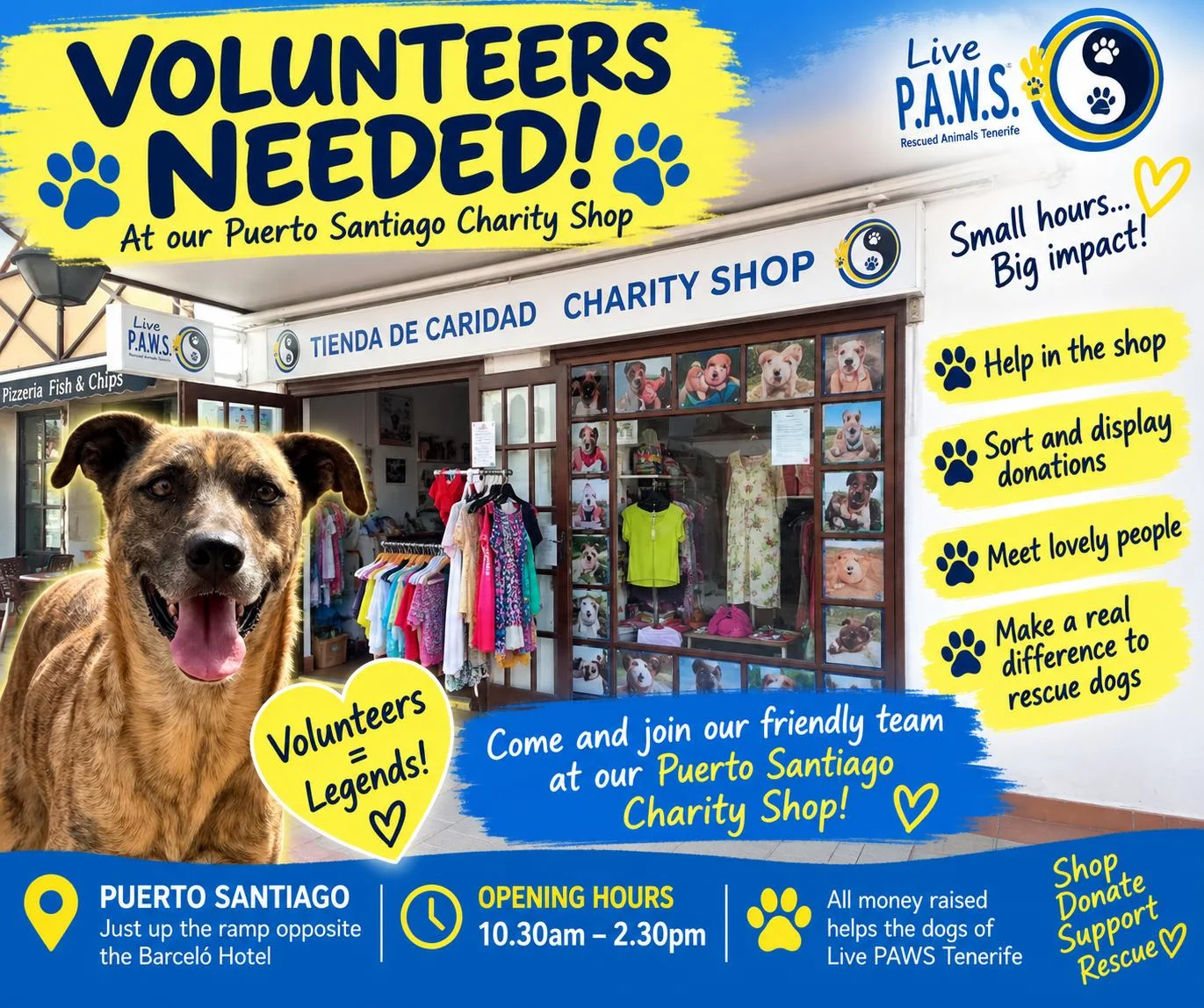 Volunteers needed Puerto Santiago