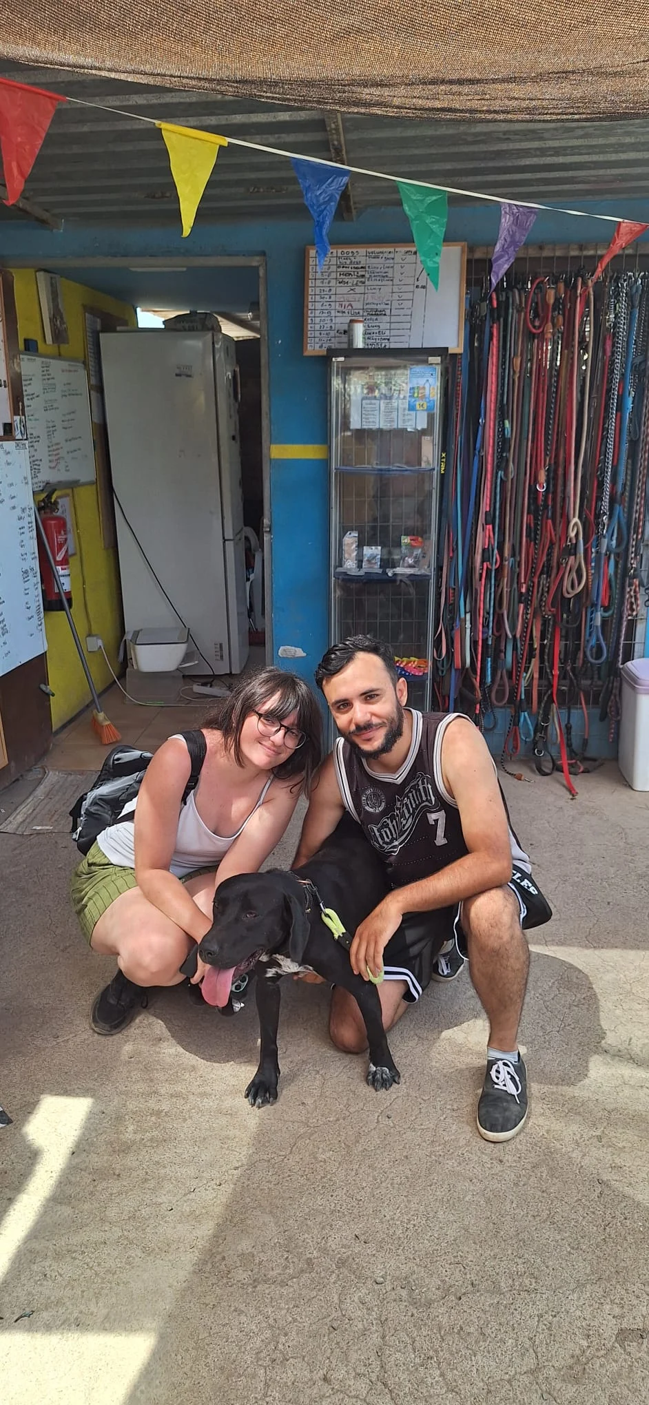 Indy Finds Her Forever Home