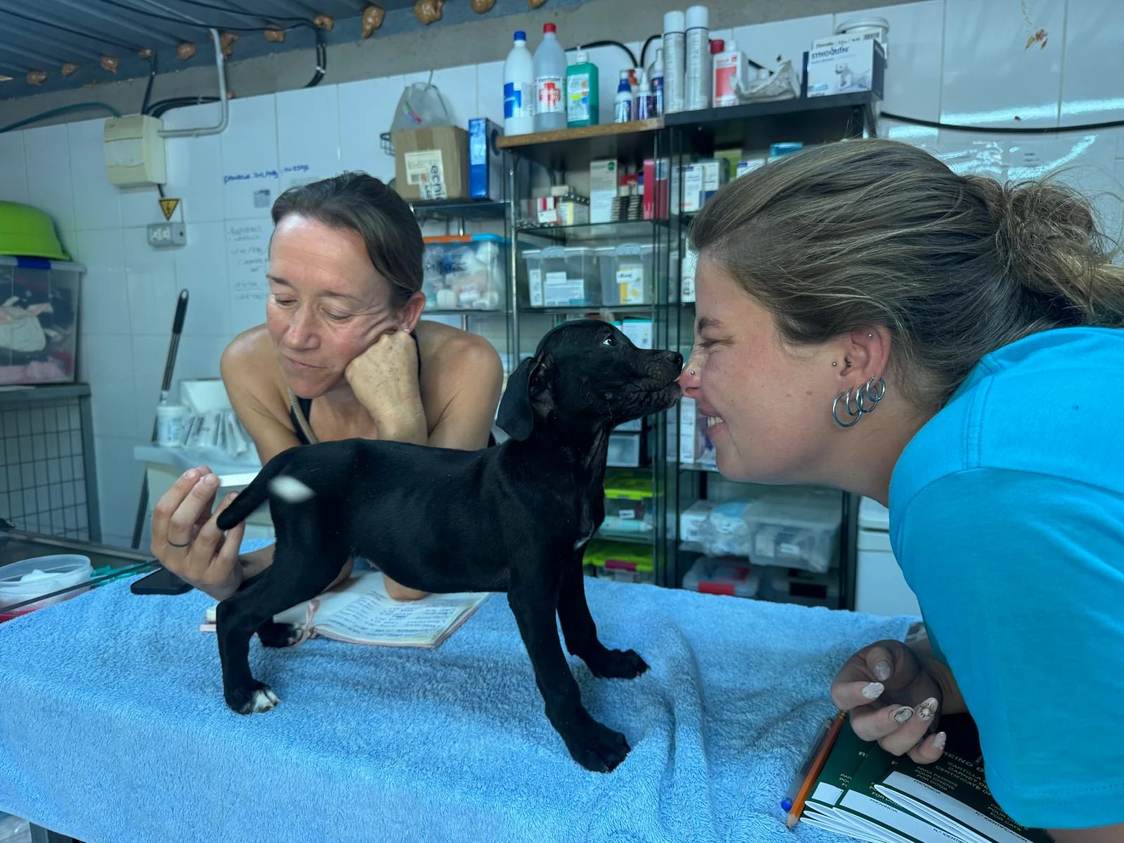 Healthy Puppies, Happy Futures