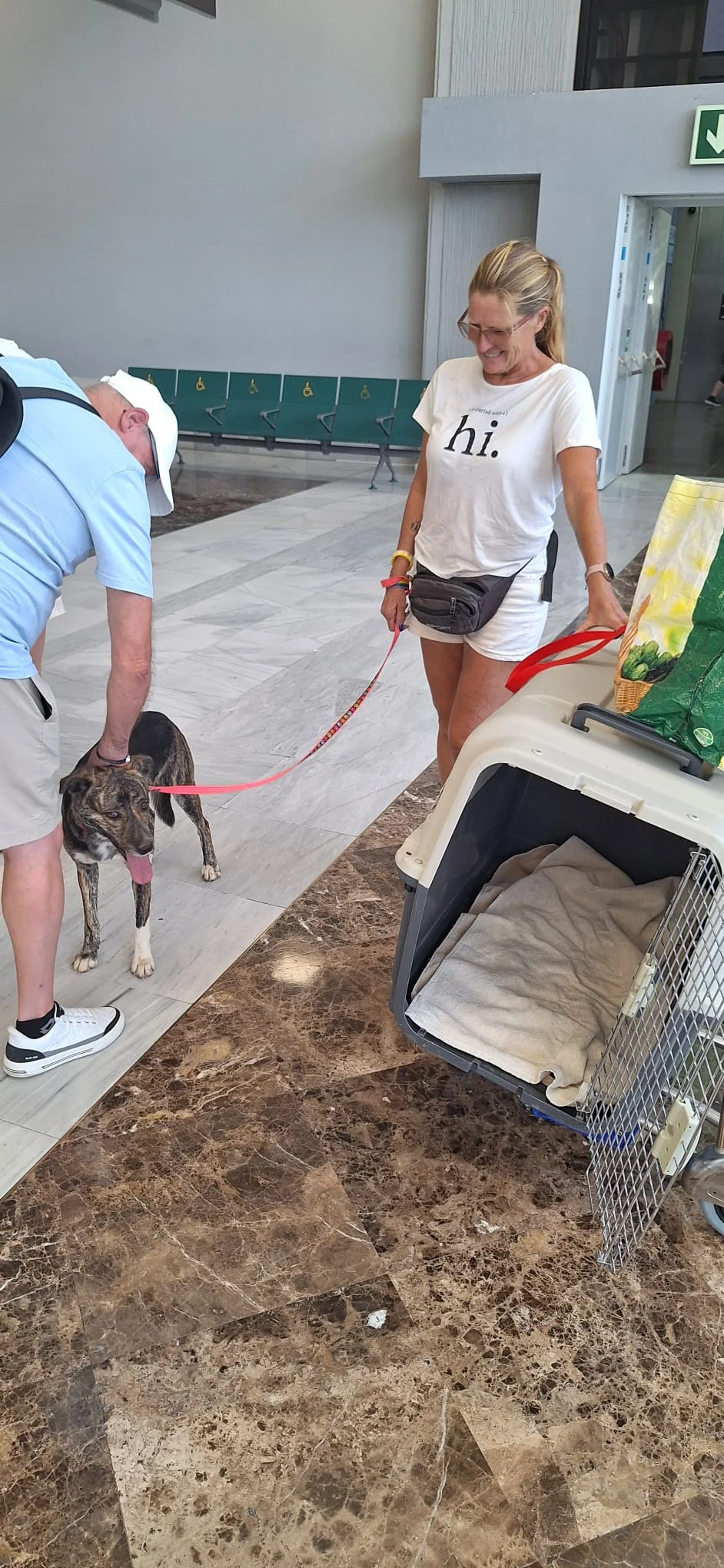 Nivaria Begins Her New Life in the UK