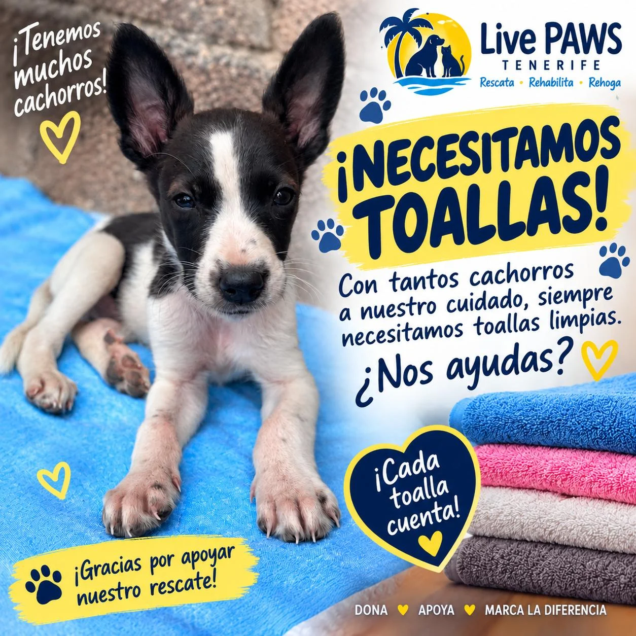 Towels Needed